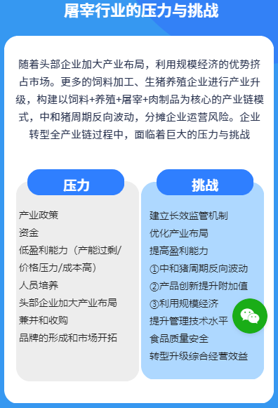 屠宰行业压力挑战.png