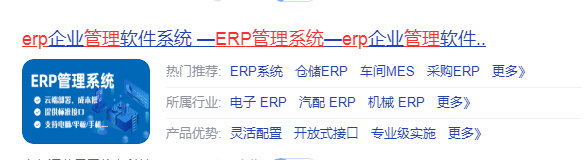 erp行业.png
